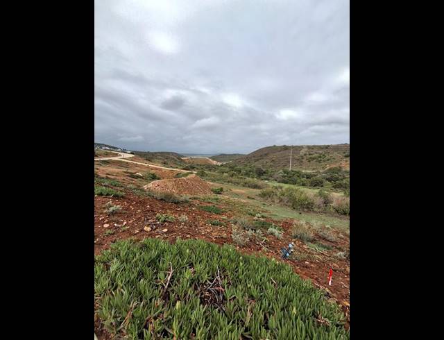 LAND FOR SALE IN OUTENIQUASBOSCH